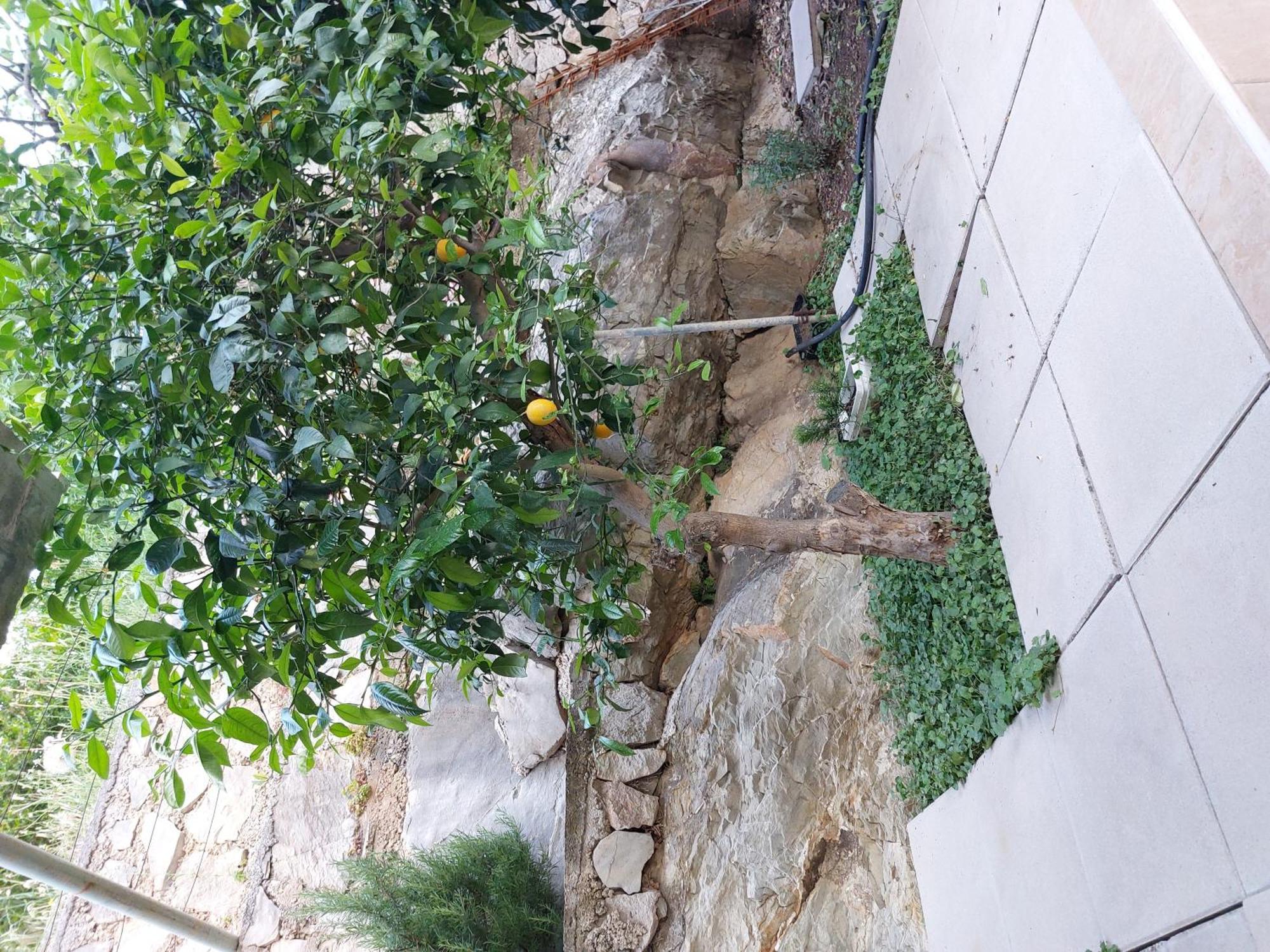 Charmy Petra With Pool Leilighet Makarska